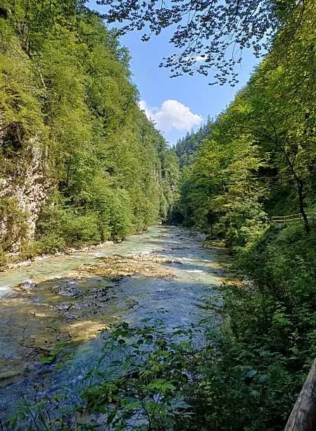 Vallée de la Radovna